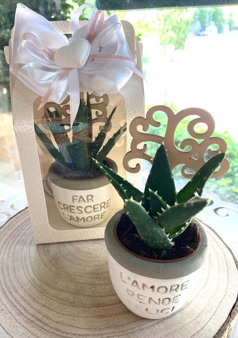 Bomboniera vasetto portapiante tondo in terracotta con inserto albero della vita in legno con 3 scritte diverse completo di piantina grassa + confezione di confetti + bigliettino stampato e scatola.
Dimensione vasetto: dm 7 x h 6 (totale altezza cm 14).
Portapiante come bomboniera/bomboniere per varie cerimonie.
Bomboniera utile, trend.
La vendita è assortita nei 3 modelli.
NOTA: è possibile modificare il colore della confezione in base alla cerimonia.
POSSIBILITA' di PERSONALIZZARLO.