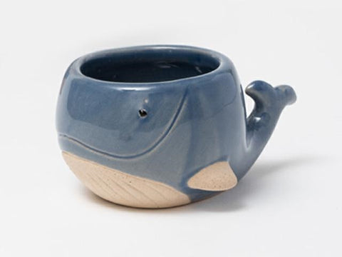 bomboniera portapiante in ceramica completo di piantina grassa. Vasetto portapiante come bomboniera per il battesimo, comunione, cresima