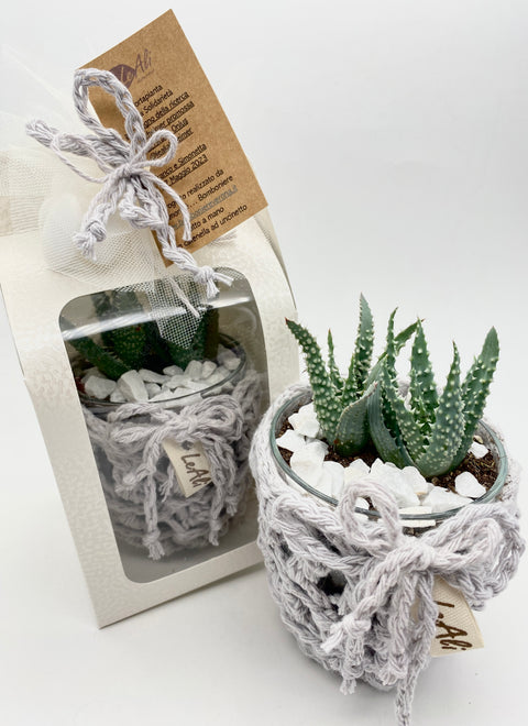 bomboniera portapiante solidale lealialzheimer come bomboniera per comunione, cresima, matrimonio completa di piantina grassa e confezione di confetti